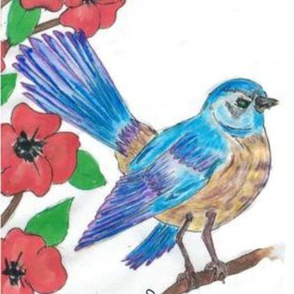 Clothing, Footwear, Accessories - Picture 5 of 6